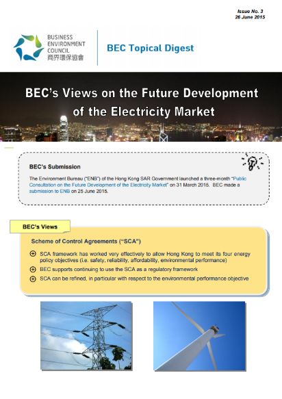 Issue 3: BEC's Views on the Future Development of the Electricity Market